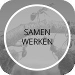 Samenwerken