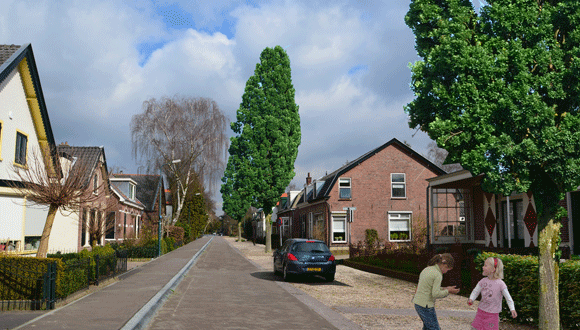 Bosstraat