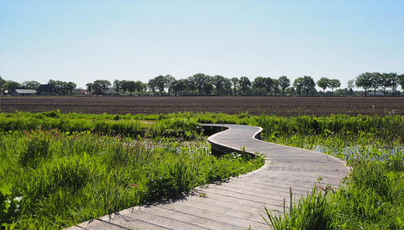 Wijde Blick Hapert