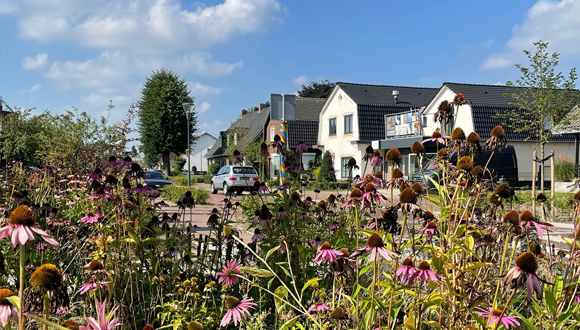 Stationsstraat Maarheeze