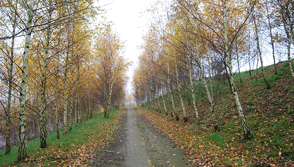 Overkamp Zutphen