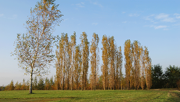 Overkamp Zutphen